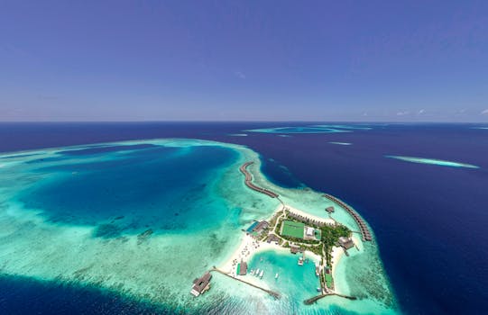 Resorts With Premium Oceanfront Relaxation