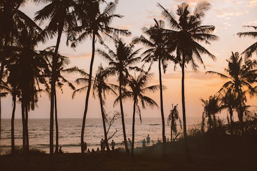 Resorts With Spectacular Sunset Beach Views